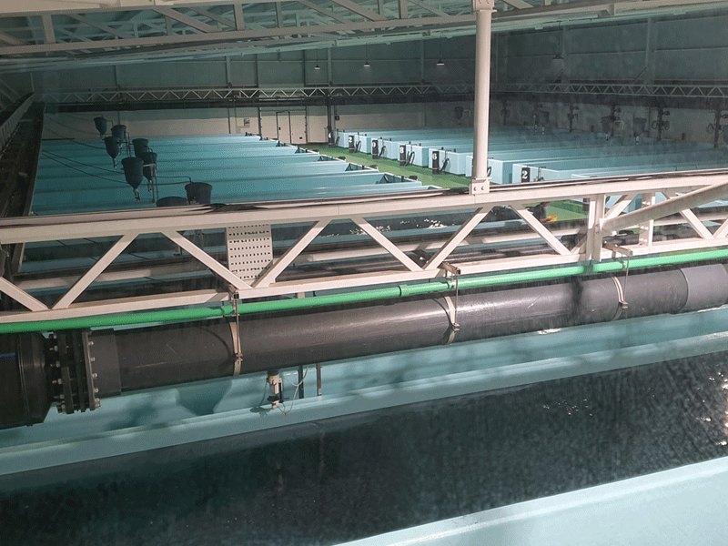 Compresión y generación de oxigeno para piscifactorías. Gurpea Green Tech